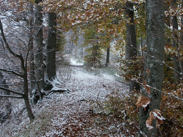 Raichberg 2007 Bild 07